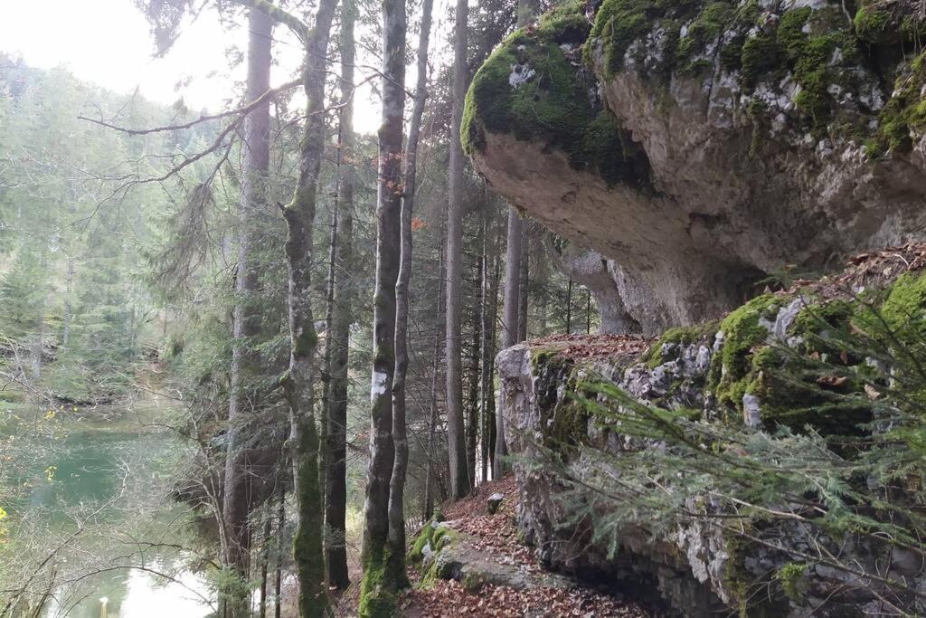 Gite Du Fourperet-Parc Naturel Du Haut-Jura Longevilles-Mont-d'Or Экстерьер фото